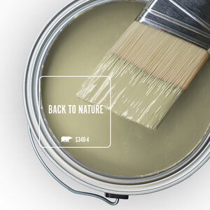 Behr Color Of The Year Back To Nature